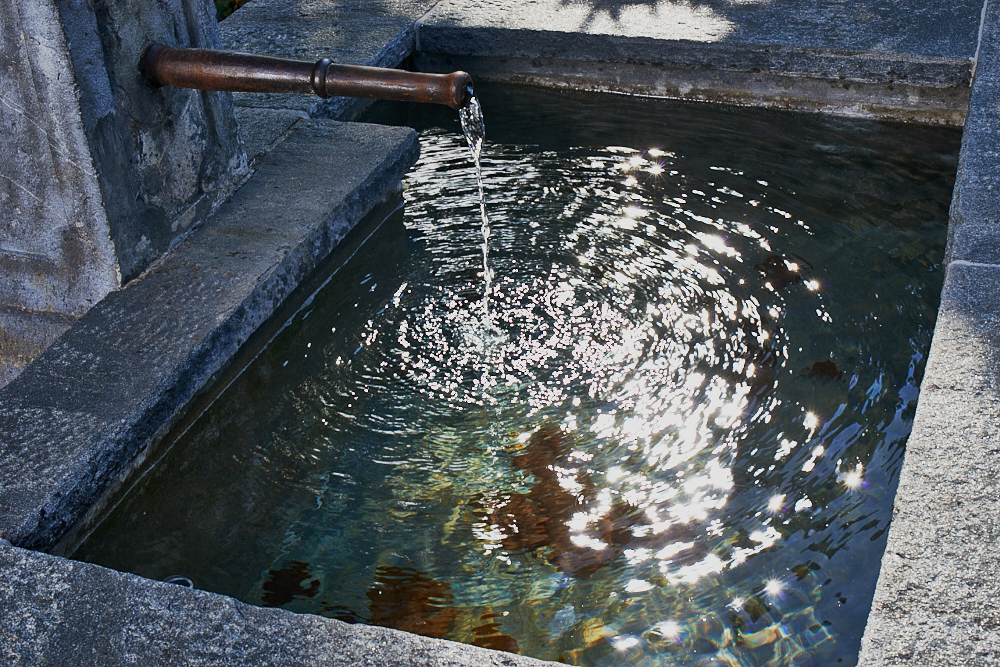 _ND89505.NEF.p.jpg _ND89505.NEF.p